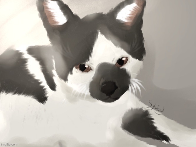 I drew Myrtle’s cat! (First shot at realism) | made w/ Imgflip meme maker