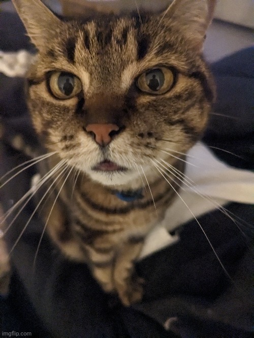 She is no longer eepy | made w/ Imgflip meme maker