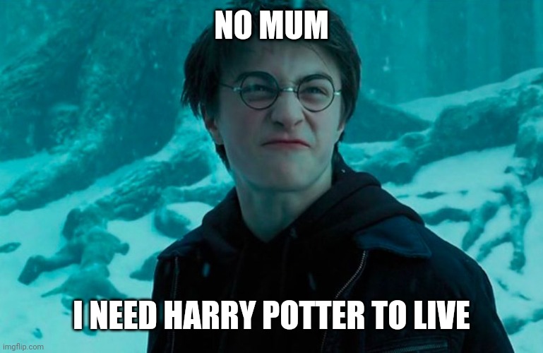 Harry Potter | NO MUM; I NEED HARRY POTTER TO LIVE | image tagged in harry potter | made w/ Imgflip meme maker