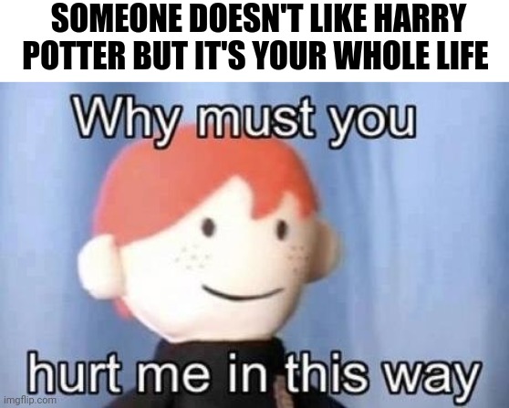 why must you hurt me this way | SOMEONE DOESN'T LIKE HARRY POTTER BUT IT'S YOUR WHOLE LIFE | image tagged in why must you hurt me this way | made w/ Imgflip meme maker