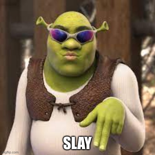 SLAY ALL DAY | SLAY | image tagged in slay all day | made w/ Imgflip meme maker