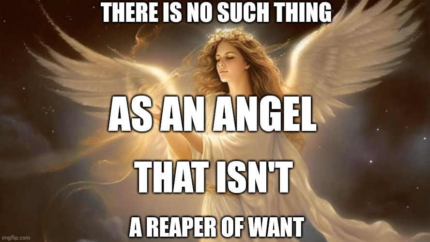 Angels: The Reapers of Want | THERE IS NO SUCH THING; AS AN ANGEL; THAT ISN'T; A REAPER OF WANT | image tagged in angels,faith,prayer,purpose,god | made w/ Imgflip meme maker