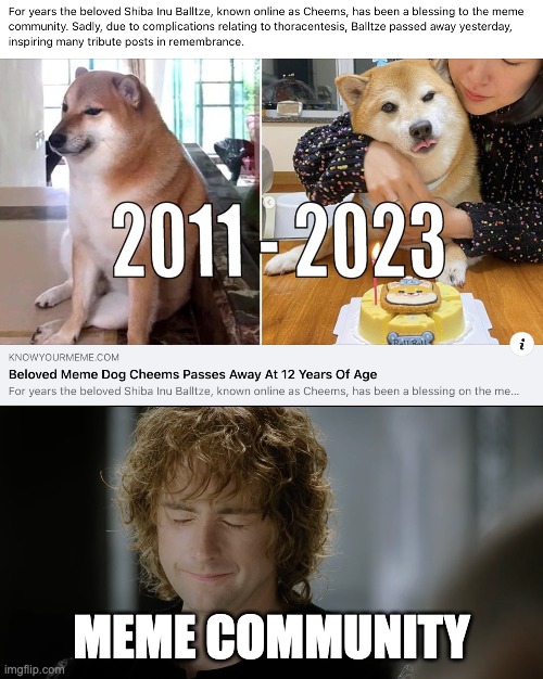 RIP Cheems :( | MEME COMMUNITY | image tagged in sad pippin,cheems,rip,lotr | made w/ Imgflip meme maker