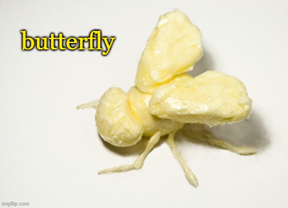 butterfly | made w/ Imgflip meme maker
