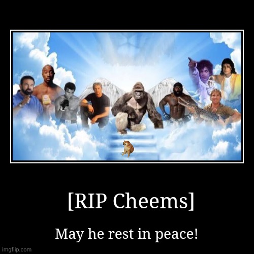 [RIP Cheems] | May he rest in peace! | image tagged in memes,cheems,sad | made w/ Imgflip demotivational maker