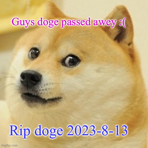 Guys im sorry to anounce but doge passed awey | Guys doge passed awey :(; Rip doge 2023-8-13 | image tagged in memes,doge,2023 | made w/ Imgflip meme maker