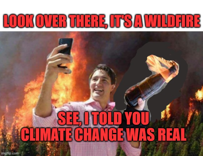 Trudeau is starting the Wildfires | LOOK OVER THERE, IT'S A WILDFIRE; SEE, I TOLD YOU CLIMATE CHANGE WAS REAL | image tagged in justin trudeau,wildfires,wildfire,carbon footprint | made w/ Imgflip meme maker