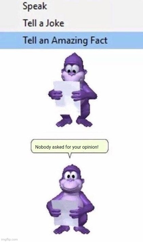 :D | Nobody asked for your opinion! | image tagged in bonzi's amazing fact | made w/ Imgflip meme maker