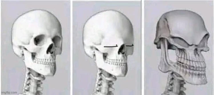 Sussy Skeleton | image tagged in sussy skeleton | made w/ Imgflip meme maker