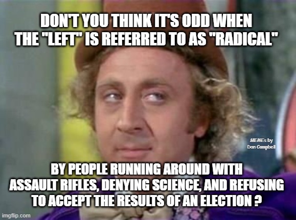 Wonka- Sarcastic Look | DON'T YOU THINK IT'S ODD WHEN THE "LEFT" IS REFERRED TO AS "RADICAL"; BY PEOPLE RUNNING AROUND WITH ASSAULT RIFLES, DENYING SCIENCE, AND REFUSING TO ACCEPT THE RESULTS OF AN ELECTION ? MEMEs by Dan Campbell | image tagged in wonka- sarcastic look | made w/ Imgflip meme maker