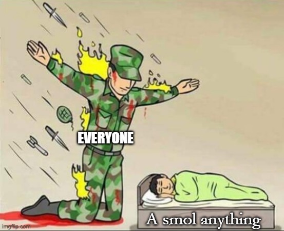 Soldier protecting sleeping child | EVERYONE; A smol anything | image tagged in soldier protecting sleeping child | made w/ Imgflip meme maker