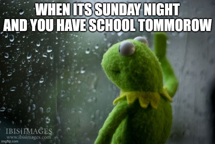 kermit window | WHEN ITS SUNDAY NIGHT AND YOU HAVE SCHOOL TOMMOROW | image tagged in kermit window | made w/ Imgflip meme maker