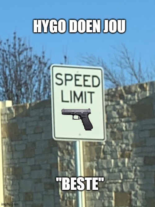 No speed limit sign | HYGO DOEN JOU; "BESTE" | image tagged in no speed limit sign | made w/ Imgflip meme maker