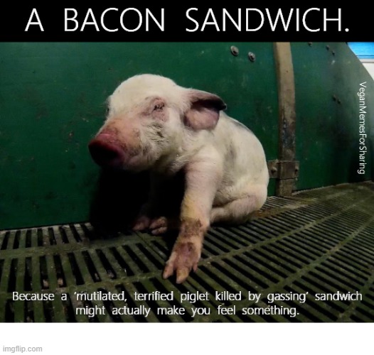 Animals Are Not Food | image tagged in vegan,veganism,bacon,ham,pork,sausage | made w/ Imgflip meme maker