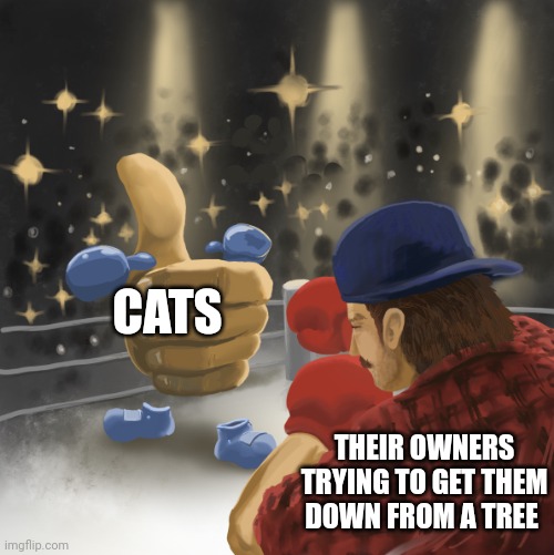 Mr. Whiskers! Get down from that tree!!!! | CATS; THEIR OWNERS TRYING TO GET THEM DOWN FROM A TREE | image tagged in mrballen vs the like button,cats,funny cats | made w/ Imgflip meme maker