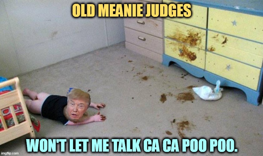 Donald Trump baby infant mess immature potty mouth | OLD MEANIE JUDGES; WON'T LET ME TALK CA CA POO POO. | image tagged in donald trump baby infant mess immature potty mouth,trump,baby,infant,child,potty | made w/ Imgflip meme maker