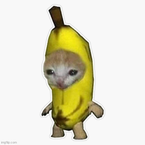 banana cat | image tagged in banana cat | made w/ Imgflip meme maker