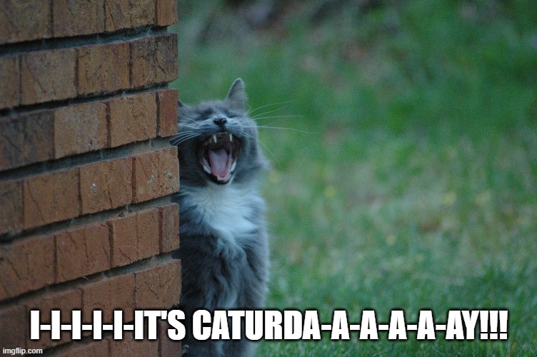 Dusty Caturday | I-I-I-I-I-IT'S CATURDA-A-A-A-A-AY!!! | image tagged in caturday | made w/ Imgflip meme maker