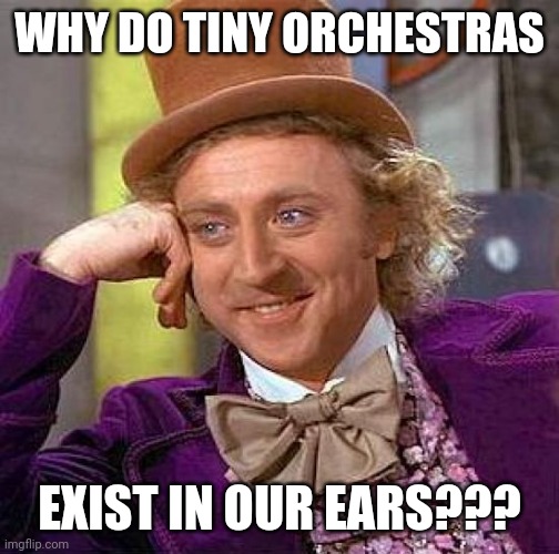 Tiny orchestras??? | WHY DO TINY ORCHESTRAS; EXIST IN OUR EARS??? | image tagged in memes,creepy condescending wonka | made w/ Imgflip meme maker