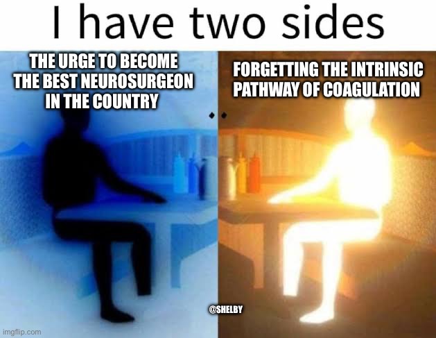 I have two sides | THE URGE TO BECOME THE BEST NEUROSURGEON IN THE COUNTRY; FORGETTING THE INTRINSIC PATHWAY OF COAGULATION; @SHELBY | image tagged in i have two sides | made w/ Imgflip meme maker