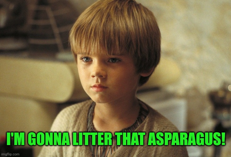 Ani | I'M GONNA LITTER THAT ASPARAGUS! | image tagged in ani | made w/ Imgflip meme maker
