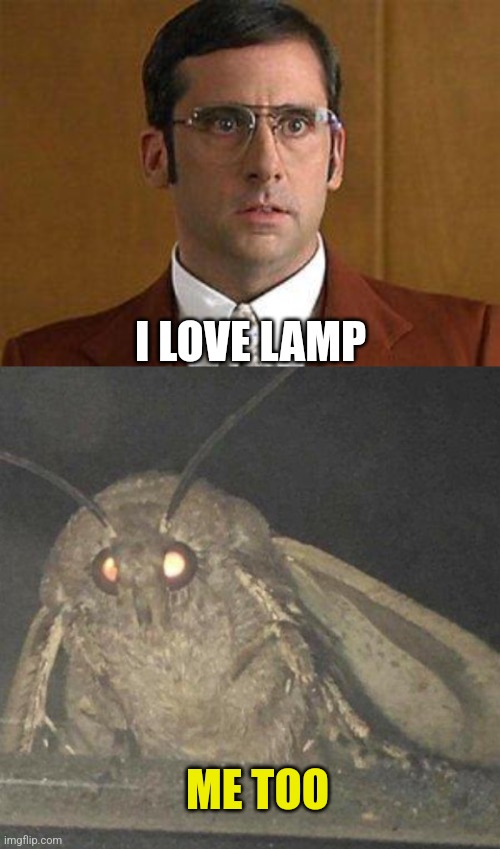 I LOVE LAMP ME TOO | image tagged in i love lamp,moth | made w/ Imgflip meme maker