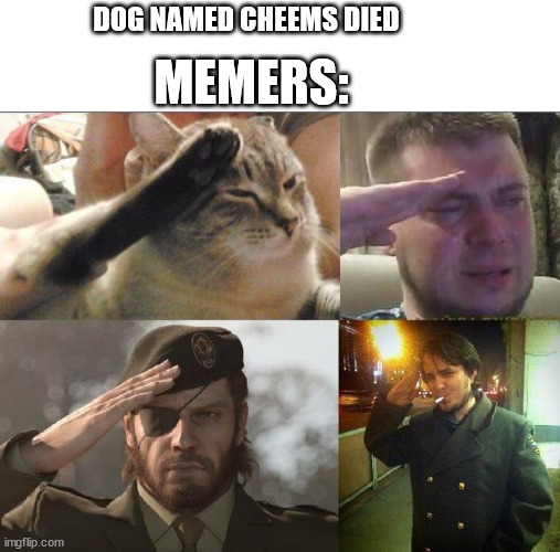 Rip legend :( | MEMERS:; DOG NAMED CHEEMS DIED | image tagged in ozon's salute,rip,buff doge vs cheems | made w/ Imgflip meme maker