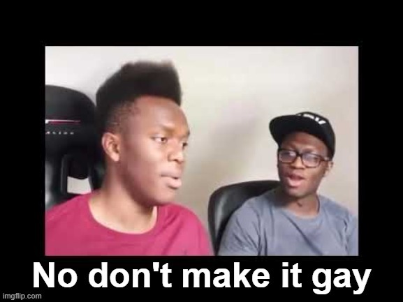 No dont make it gay | image tagged in no dont make it gay | made w/ Imgflip meme maker