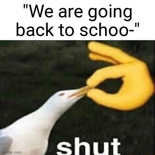 Yeah, we already know that. | "We are going back to schoo-" | image tagged in shut,memes,school,i have a question for god | made w/ Imgflip meme maker