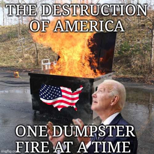 America | THE DESTRUCTION OF AMERICA; ONE DUMPSTER FIRE AT A TIME | image tagged in dumpster fire | made w/ Imgflip meme maker