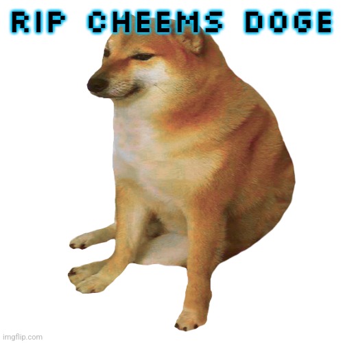 cheems | rip cheems doge | image tagged in cheems | made w/ Imgflip meme maker