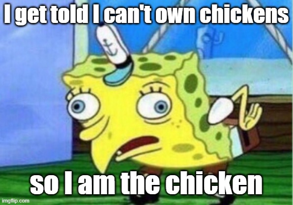 Mocking Spongebob | I get told I can't own chickens; so I am the chicken | image tagged in memes,mocking spongebob | made w/ Imgflip meme maker