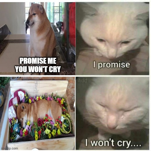 Goodbye Cheems | PROMISE ME YOU WON'T CRY | image tagged in i promise i won't cry,cheems | made w/ Imgflip meme maker