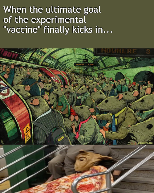 it takes a bit of time for the tail to sprout, but you'll know | When the ultimate goal of the experimental "vaccine" finally kicks in... | image tagged in memes,dark humor | made w/ Imgflip meme maker