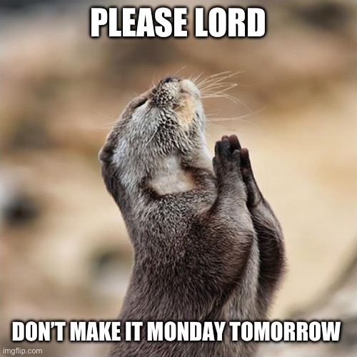 Monday sucks | PLEASE LORD; DON’T MAKE IT MONDAY TOMORROW | image tagged in praying otter,otters,funny,animals,monday | made w/ Imgflip meme maker