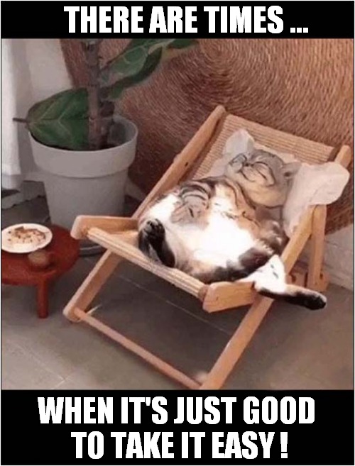 Deck Chair Time ! | THERE ARE TIMES ... WHEN IT'S JUST GOOD
 TO TAKE IT EASY ! | image tagged in cats,deck chair,relaxing | made w/ Imgflip meme maker