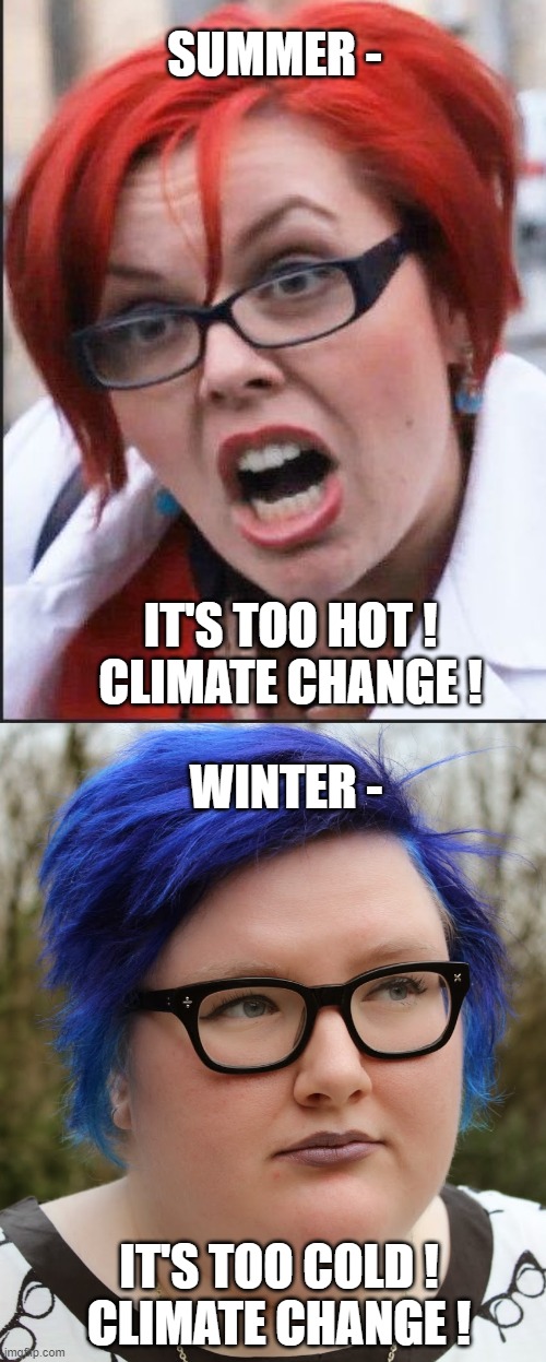 SUMMER - IT'S TOO HOT !
CLIMATE CHANGE ! WINTER - IT'S TOO COLD !
CLIMATE CHANGE ! | made w/ Imgflip meme maker