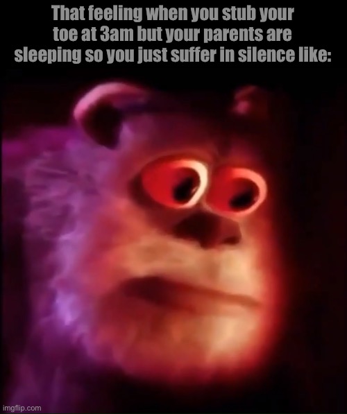 Monster inc. | That feeling when you stub your toe at 3am but your parents are sleeping so you just suffer in silence like: | image tagged in monster inc | made w/ Imgflip meme maker