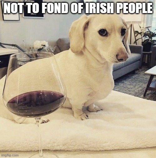 bad dog | NOT TO FOND OF IRISH PEOPLE | image tagged in not too fond dog | made w/ Imgflip meme maker