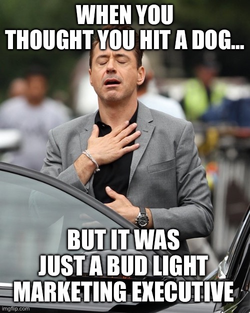 Relief | WHEN YOU THOUGHT YOU HIT A DOG…; BUT IT WAS JUST A BUD LIGHT MARKETING EXECUTIVE | image tagged in relief,bud light,maga,republicans,donald trump,robert downey jr | made w/ Imgflip meme maker