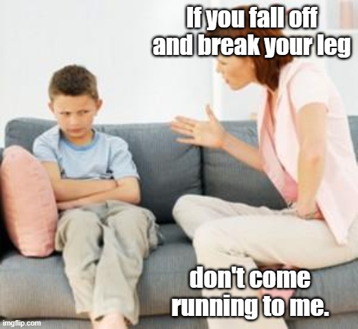parent scolding child | If you fall off and break your leg don't come running to me. | image tagged in parent scolding child | made w/ Imgflip meme maker