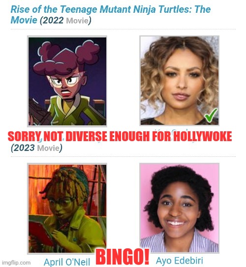Teenage Mutant Diversity Inclusion | SORRY NOT DIVERSE ENOUGH FOR HOLLYWOKE; BINGO! | image tagged in woke,hollywood,nonsense,teenage mutant ninja turtles,diversity | made w/ Imgflip meme maker