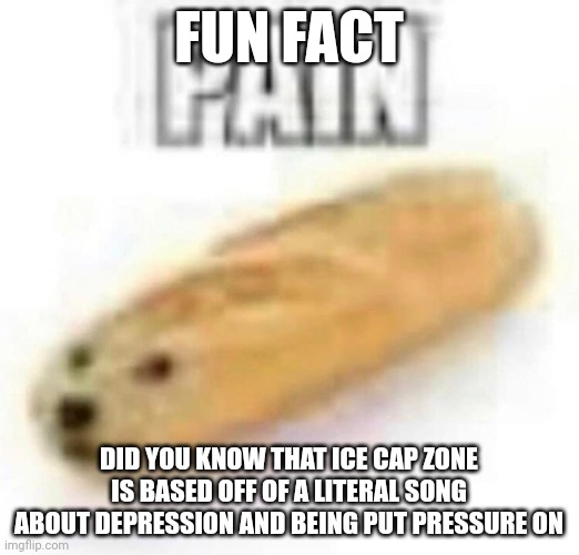 Or i could say it's about a breakup | FUN FACT; DID YOU KNOW THAT ICE CAP ZONE IS BASED OFF OF A LITERAL SONG ABOUT DEPRESSION AND BEING PUT PRESSURE ON | image tagged in pain | made w/ Imgflip meme maker