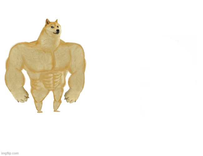 swole doge vs cheems memes now | image tagged in memes,buff doge vs cheems,cheems,rip | made w/ Imgflip meme maker