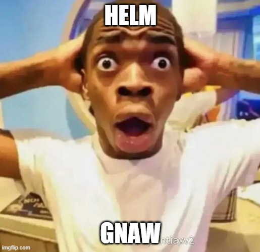 Shocked black guy | HELM GNAW | image tagged in shocked black guy | made w/ Imgflip meme maker