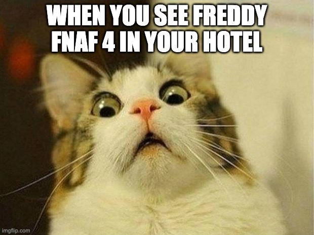 Scared Cat | WHEN YOU SEE FREDDY FNAF 4 IN YOUR HOTEL | image tagged in memes,scared cat | made w/ Imgflip meme maker