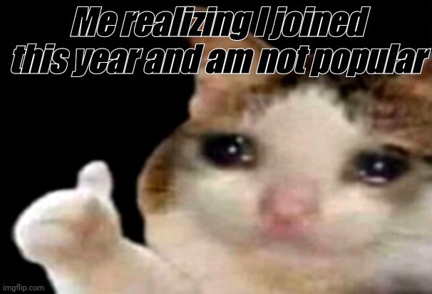 Sad cat thumbs up | Me realizing I joined this year and am not popular | image tagged in sad cat thumbs up | made w/ Imgflip meme maker