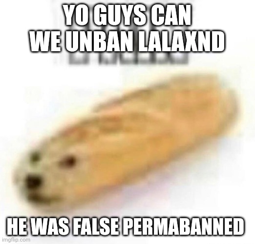 PAIN | YO GUYS CAN WE UNBAN LALAXND; HE WAS FALSE PERMABANNED | image tagged in pain | made w/ Imgflip meme maker