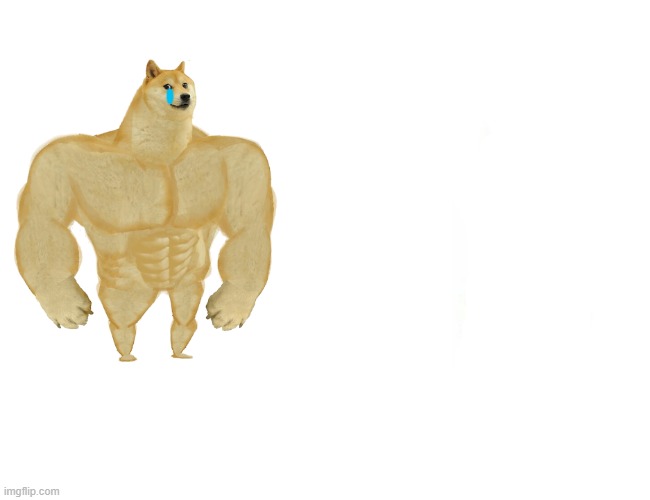 buff doge vs cheems after cheems died | image tagged in memes,buff doge vs cheems | made w/ Imgflip meme maker