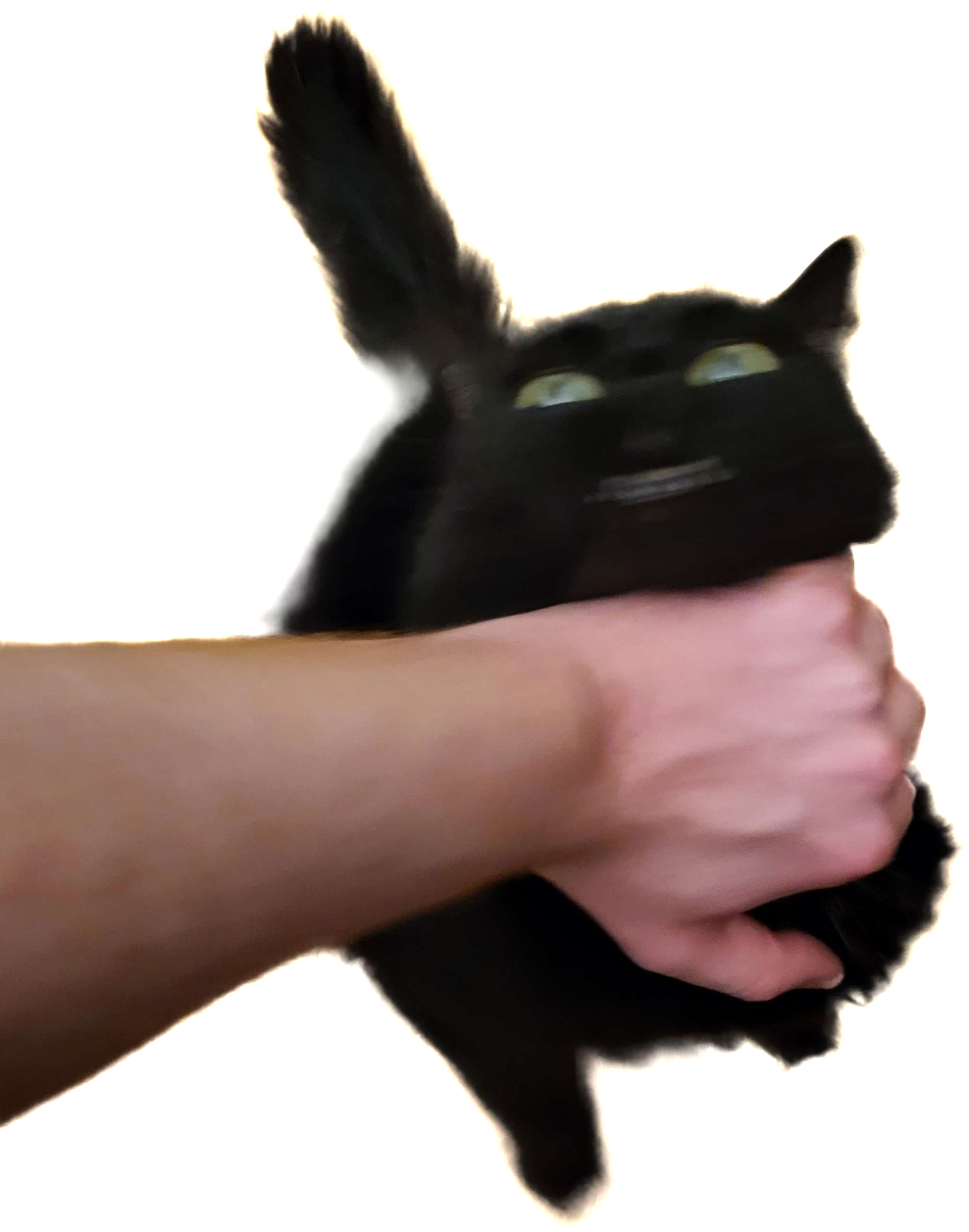 Stop kitty Blank Meme Template